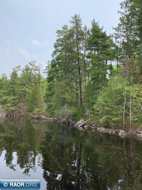 Tbd Susan Lake Road Cook, MN 55723 - Photo 5 of 13