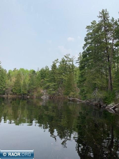 Tbd Susan Lake Road Cook, MN 55723 - Photo 6 of 13