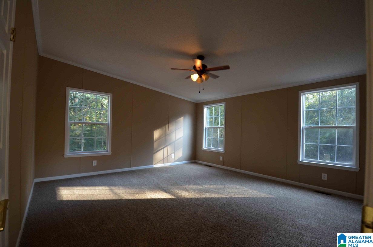 156 Cowpens Road Daviston, AL 36256 - Photo 11 of 33