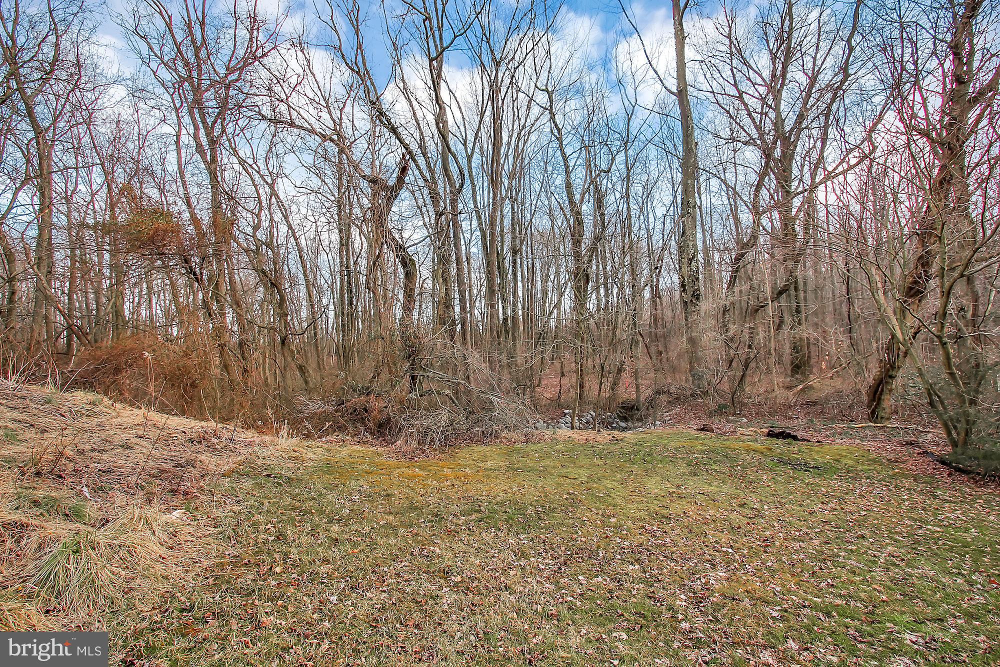 431 Buttonwoods Road Elkton, MD 21921 - Photo 24 of 25 view from lower level patio