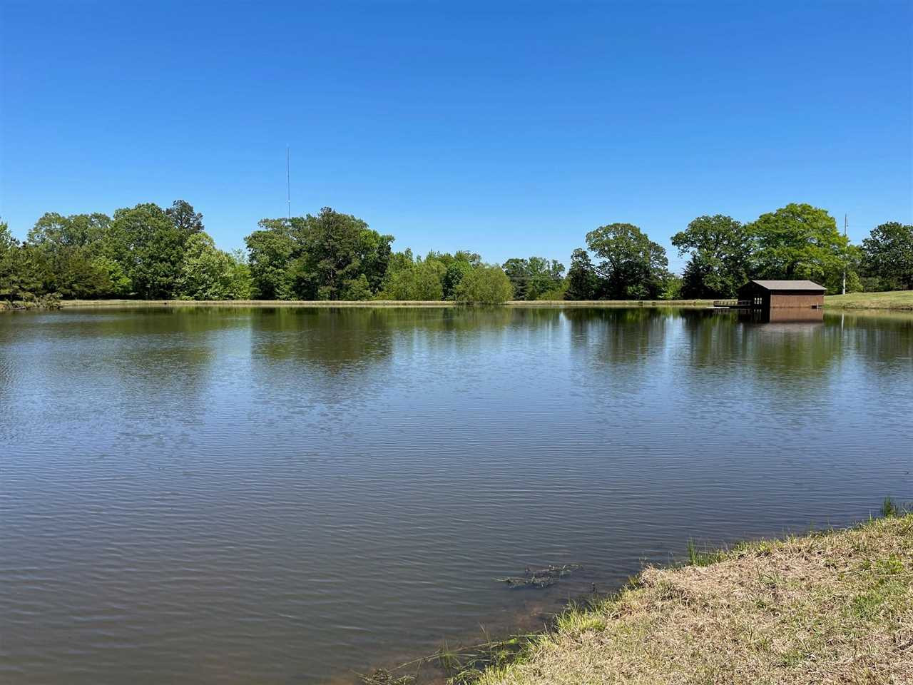 3034 Palestine Road, Unit N Raymond, MS 39154 - Photo 8 of 50 Photo 8