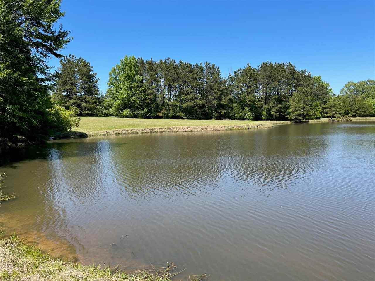 3034 Palestine Road, Unit N Raymond, MS 39154 - Photo 10 of 50 Photo 10