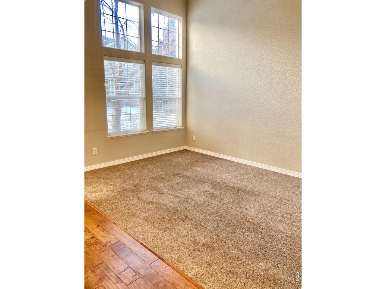 1900 68th Avenue, Unit 5 Greeley, CO 80634 - Photo 7 of 21 a view of an empty room with windows