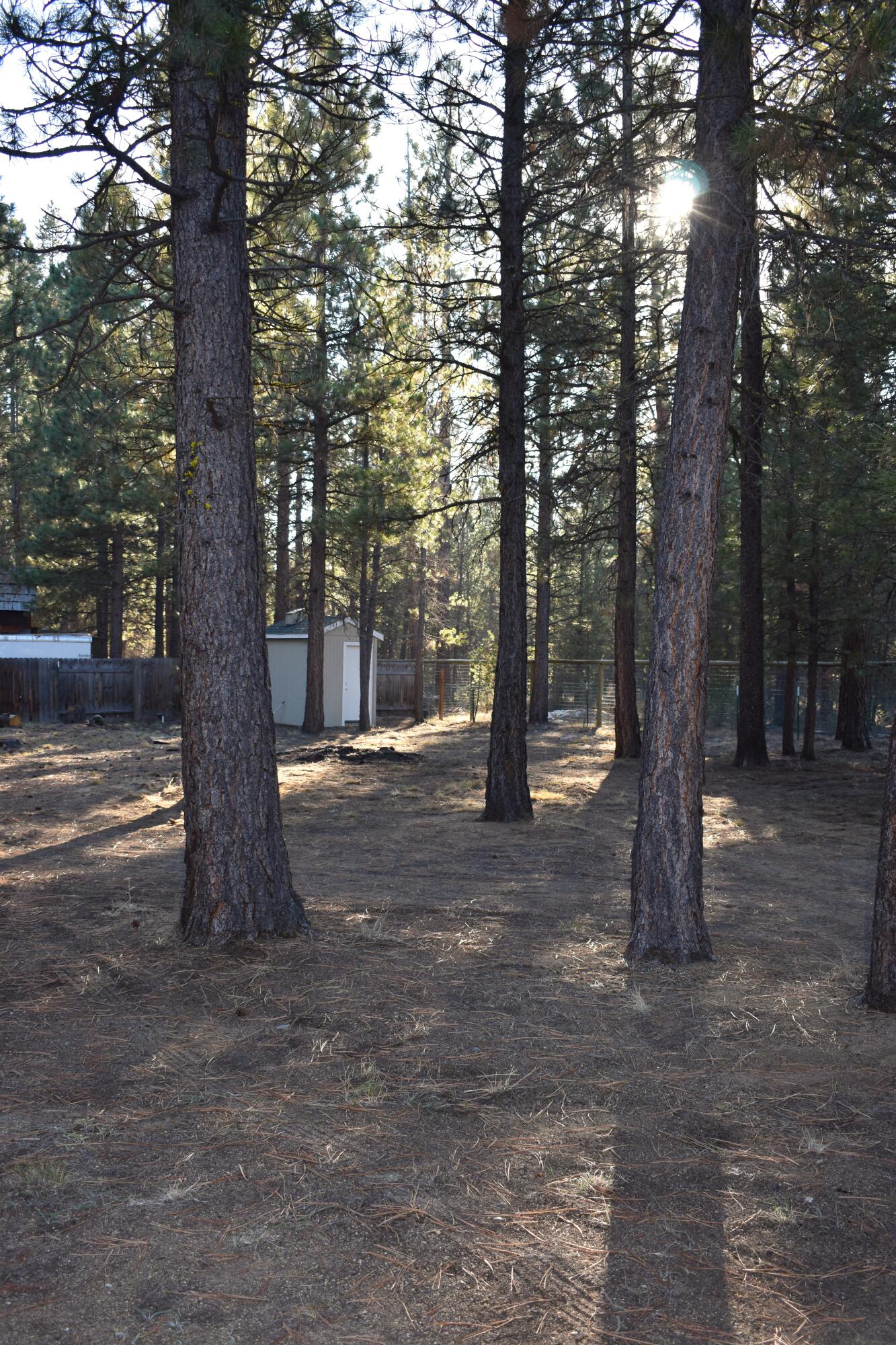 53249 Andrews Road La Pine, OR 97739 - Photo 45 of 49 andrews 14