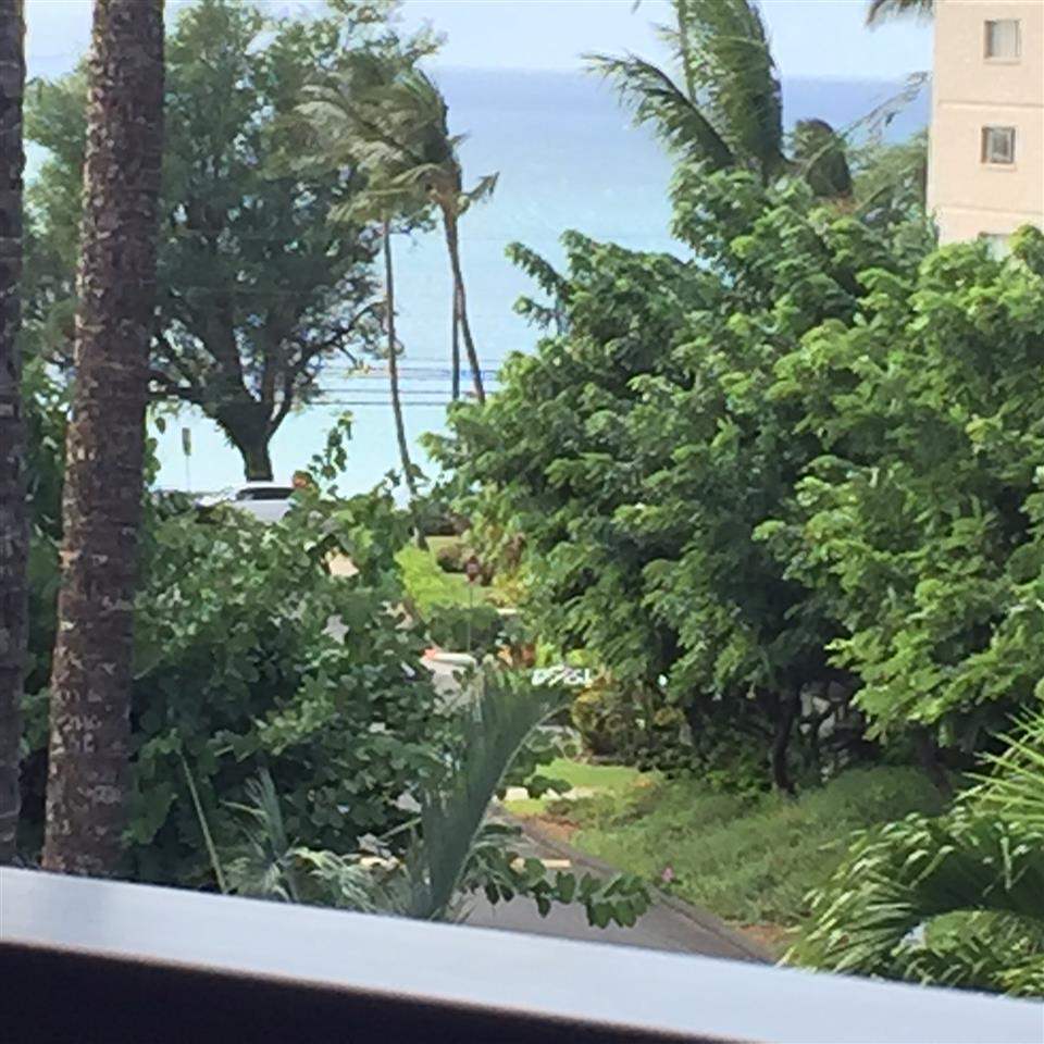 a view of a yard from a window