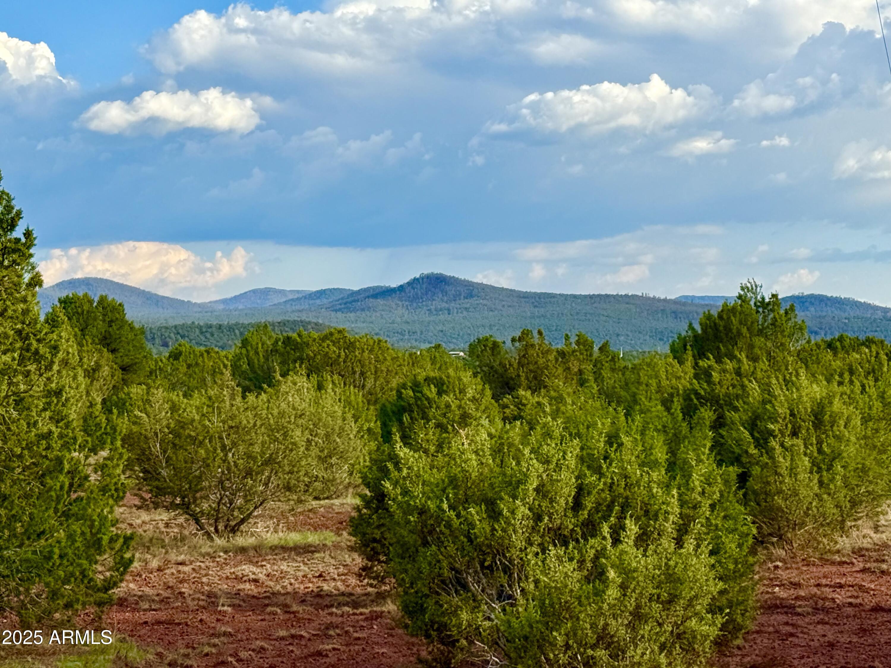 180 Co Road Show Low, AZ 85901 - Photo 1 of 26 a view of a bunch of trees and houses