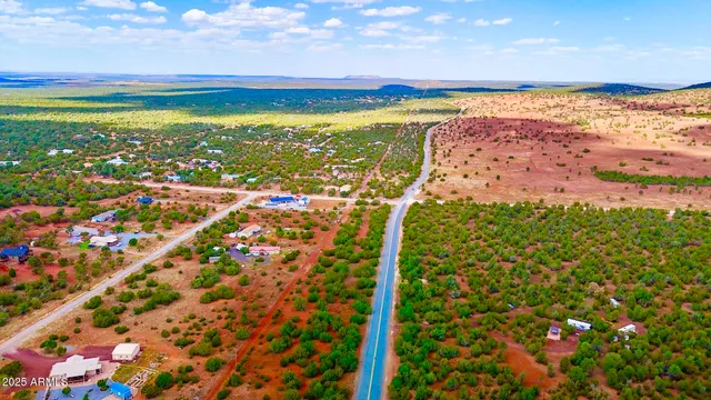 a view of a bunch of flowers