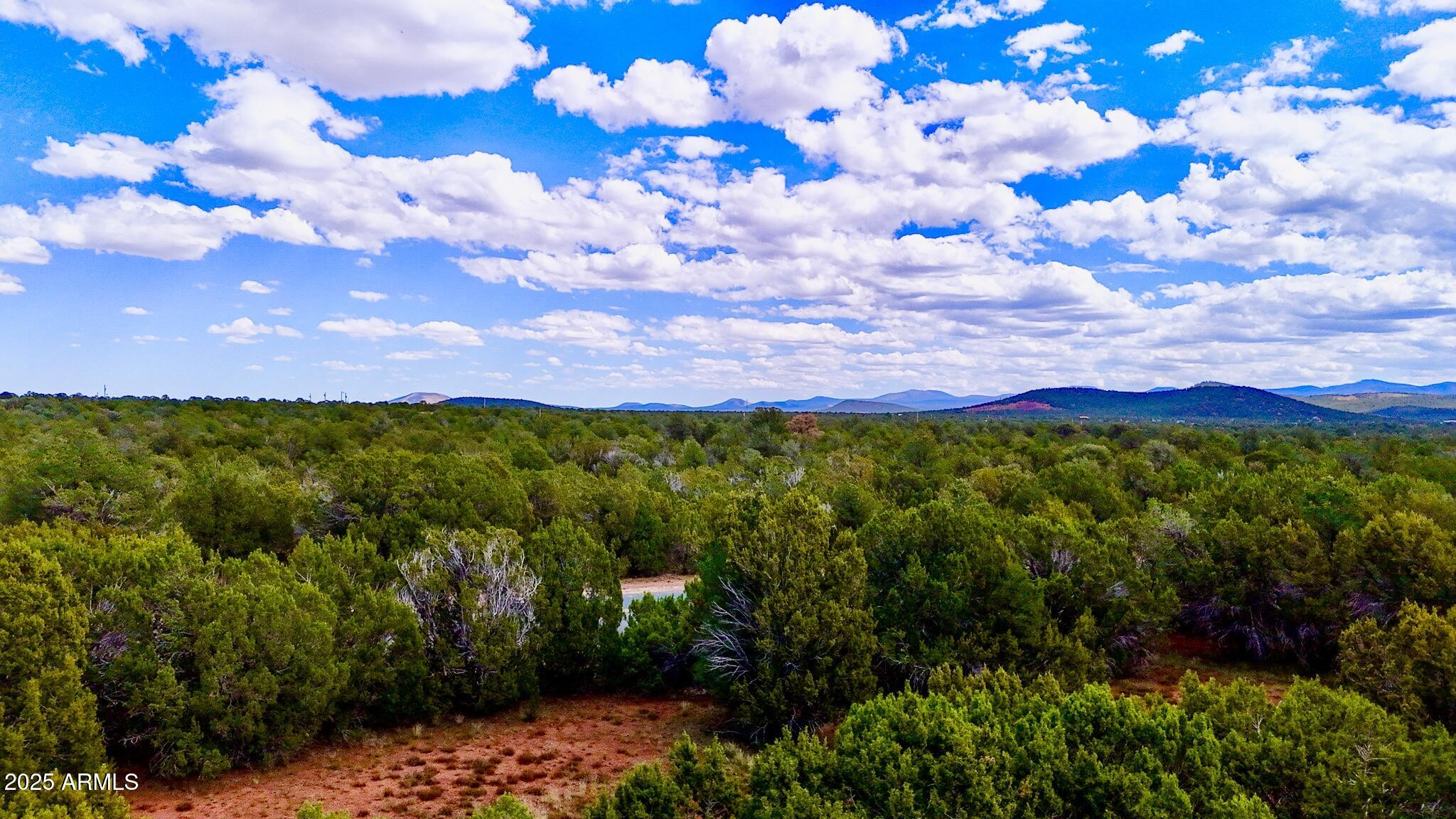 180 Co Road Show Low, AZ 85901 - Photo 15 of 26 a view of a bunch of flowers