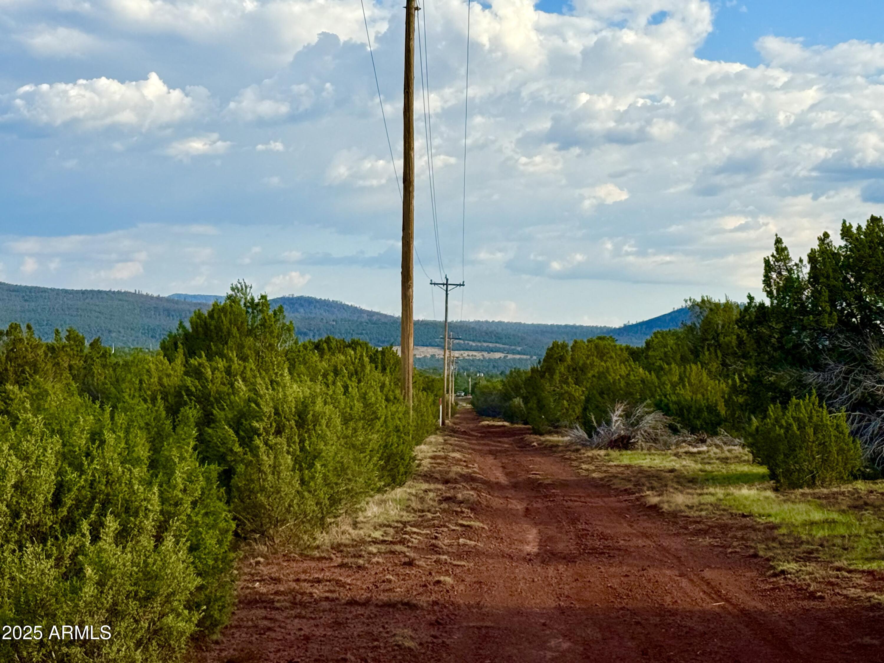 180 Co Road Show Low, AZ 85901 - Photo 2 of 26 a view of a yard