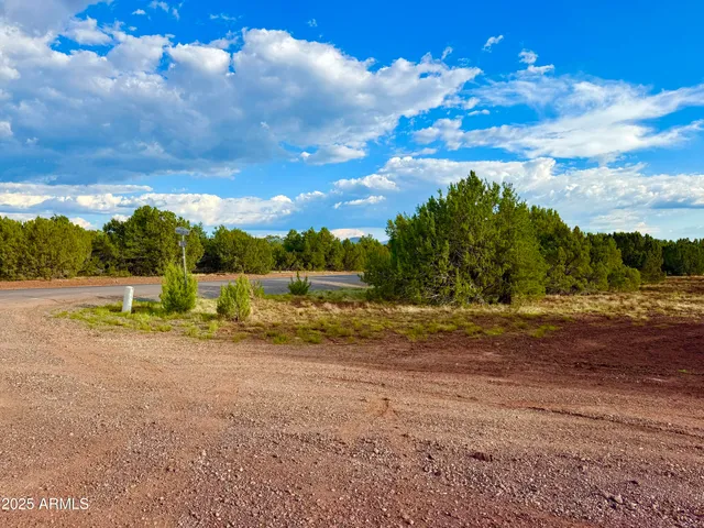 $59,000 | 180 Co Road, Show Low, AZ 85901