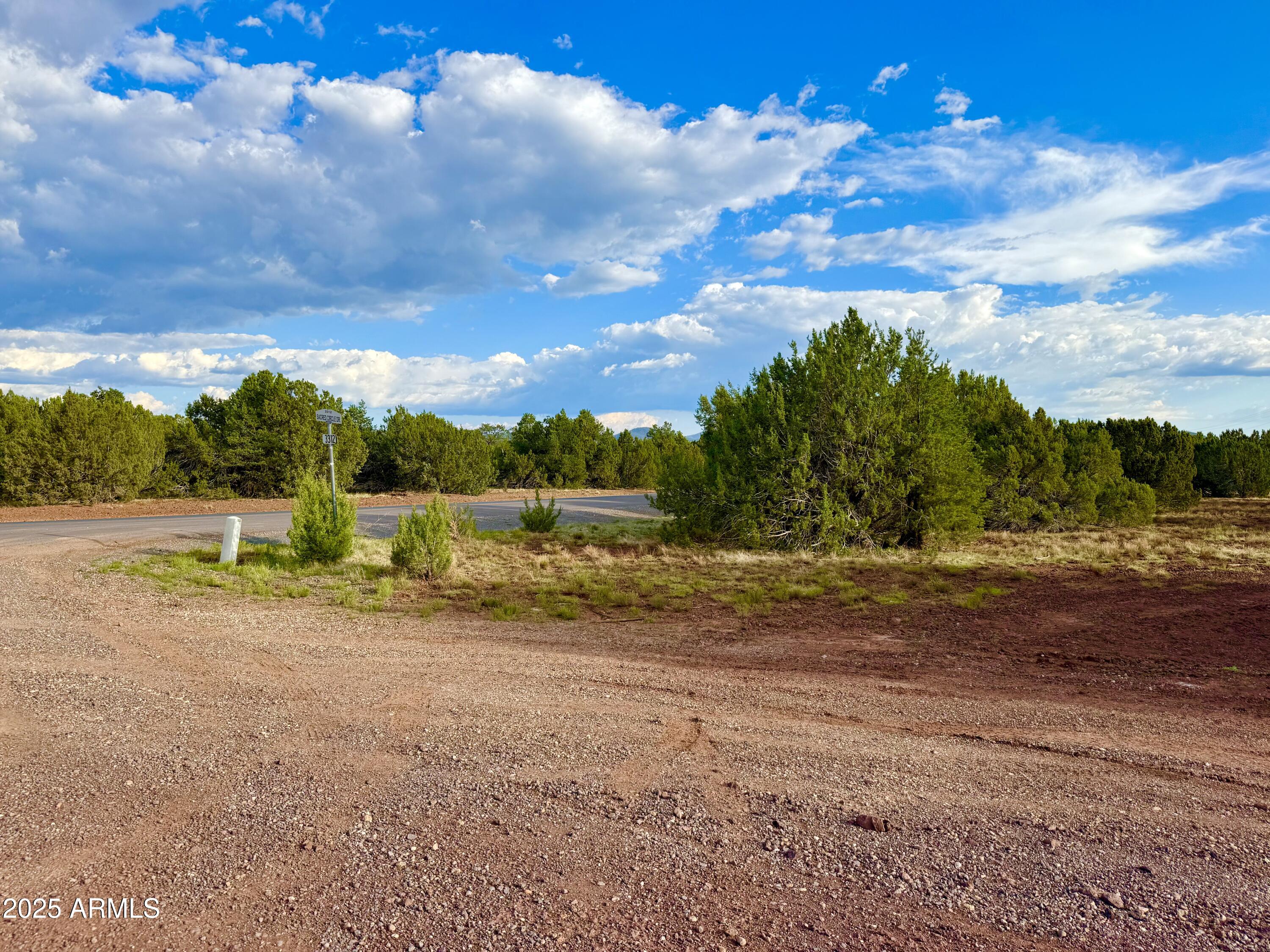 180 Co Road Show Low, AZ 85901 - Photo 22 of 26 a view of a yard with entertaining space