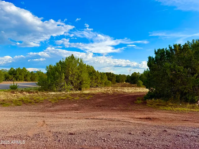 $59,000 | 180 Co Road, Show Low, AZ 85901