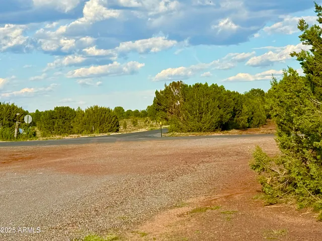 $59,000 | 180 Co Road, Show Low, AZ 85901