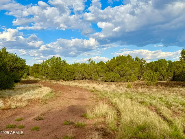 $59,000 | 180 Co Road, Show Low, AZ 85901