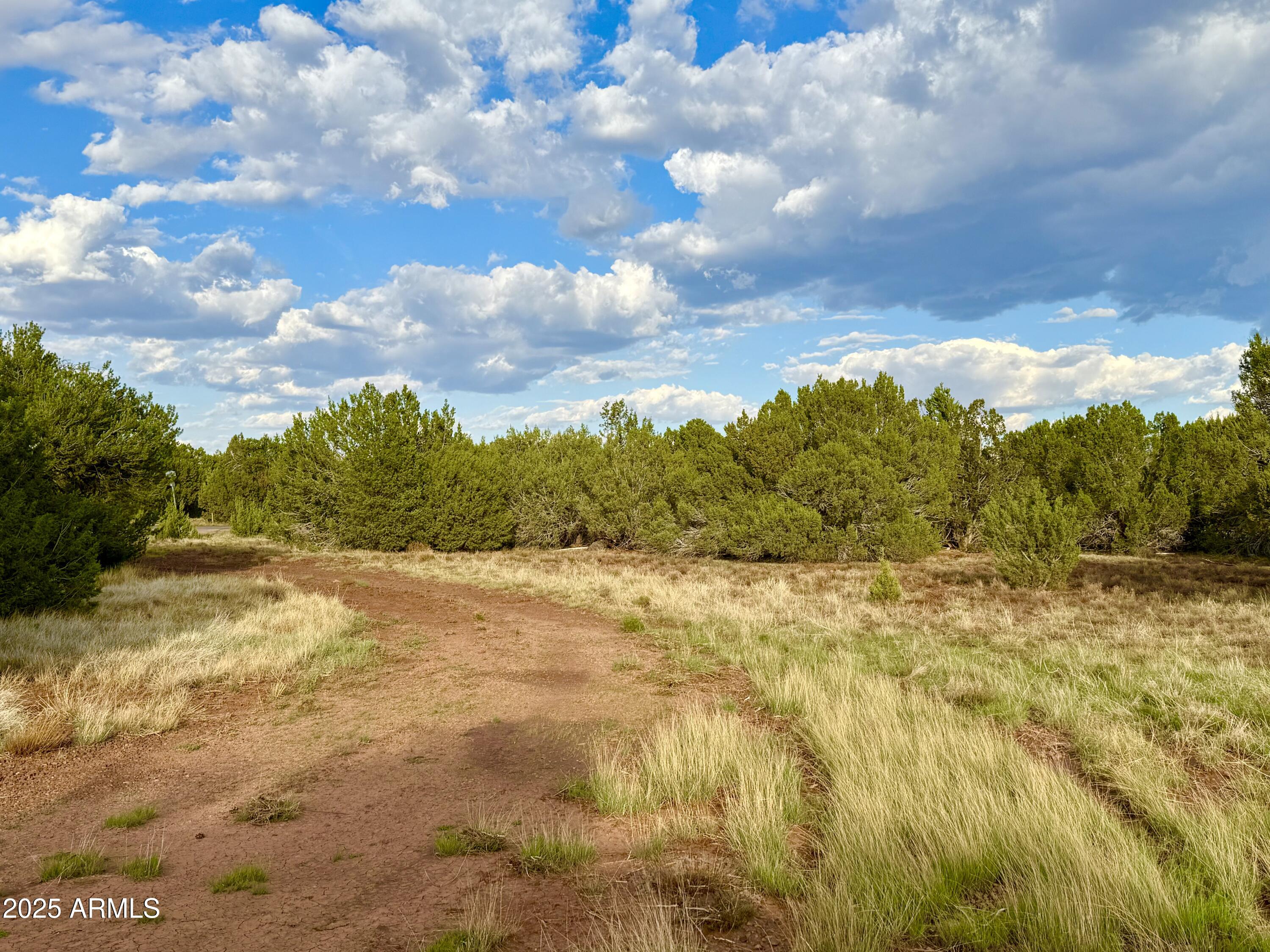 180 Co Road Show Low, AZ 85901 - Photo 25 of 26