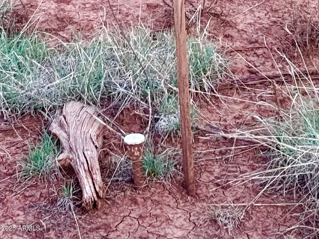 $59,000 | 180 Co Road, Show Low, AZ 85901