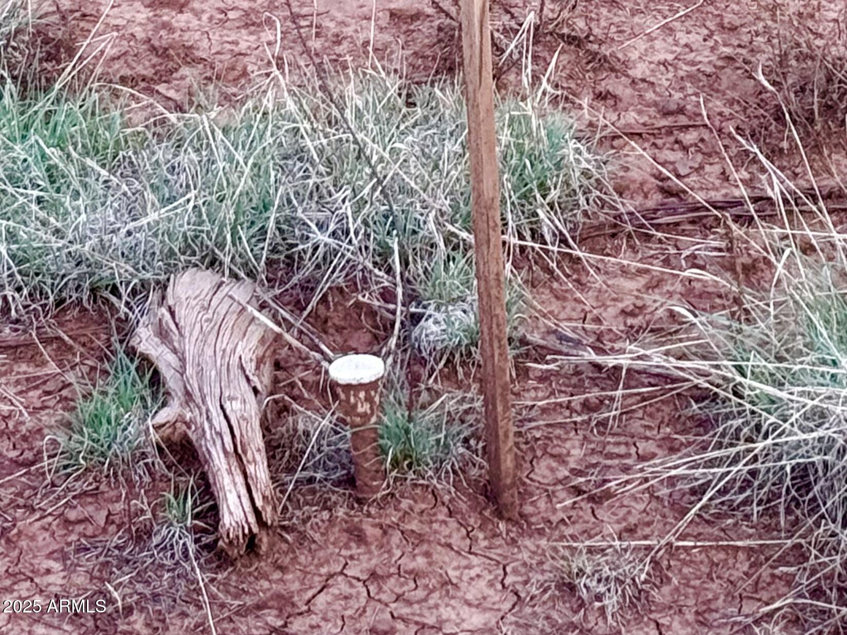180 Co Road Show Low, AZ 85901 - Photo 26 of 26 a backyard of a house with lots of green space