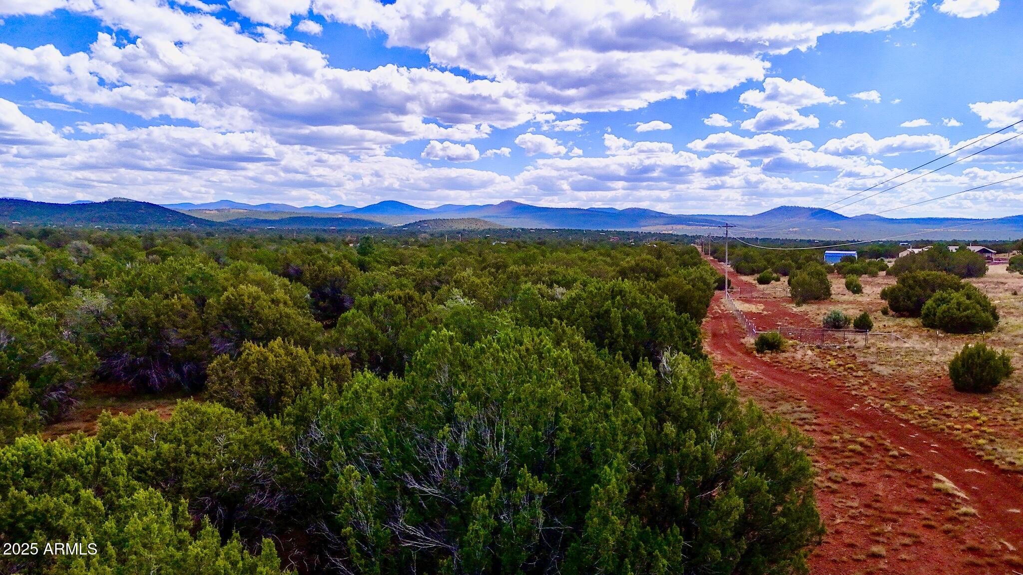 180 Co Road Show Low, AZ 85901 - Photo 4 of 26 a view of a houses with a yard