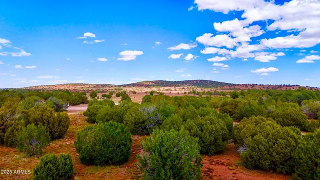 a view of a city with lush green forest