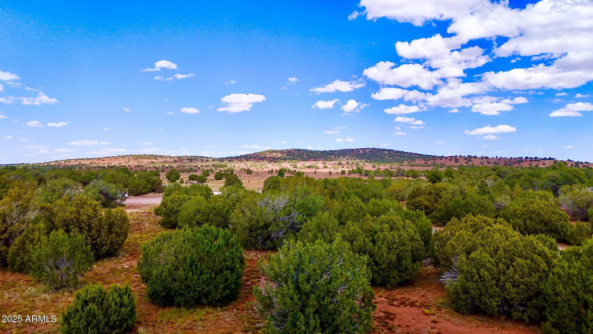 180 Co Road Show Low, AZ 85901 - Photo 7 of 26 a view of a city with lush green forest