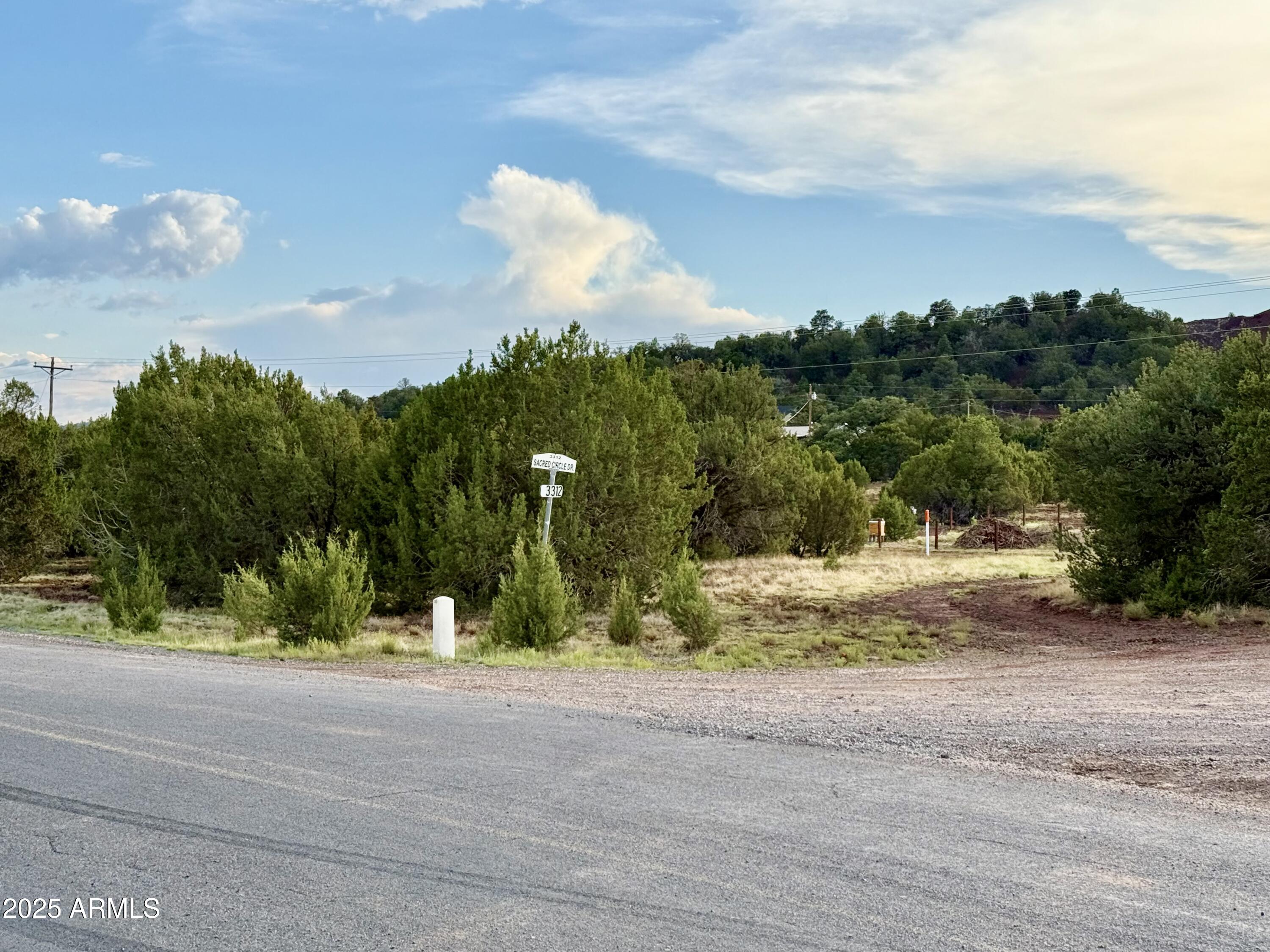 180 Co Road Show Low, AZ 85901 - Photo 9 of 26 a view of a house with a yard and a road