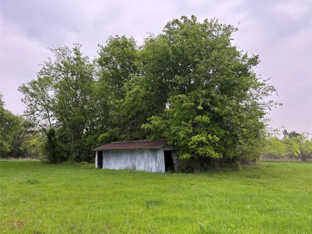 a backyard of a house with plants and large trees