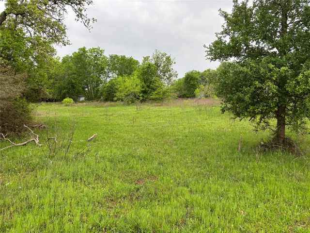 a view of field with trees in the background