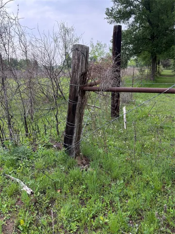 a view of a field with a trees in the background