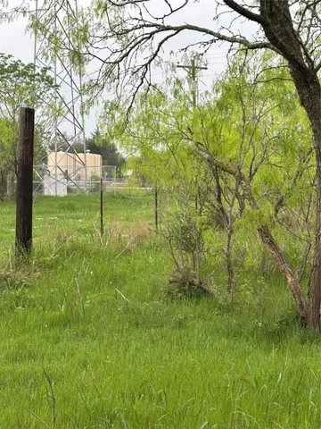 a green field with lots of bushes