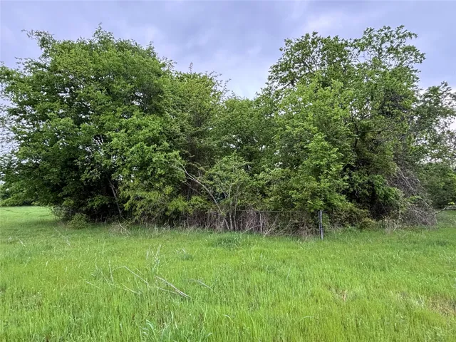 a view of a garden with large trees