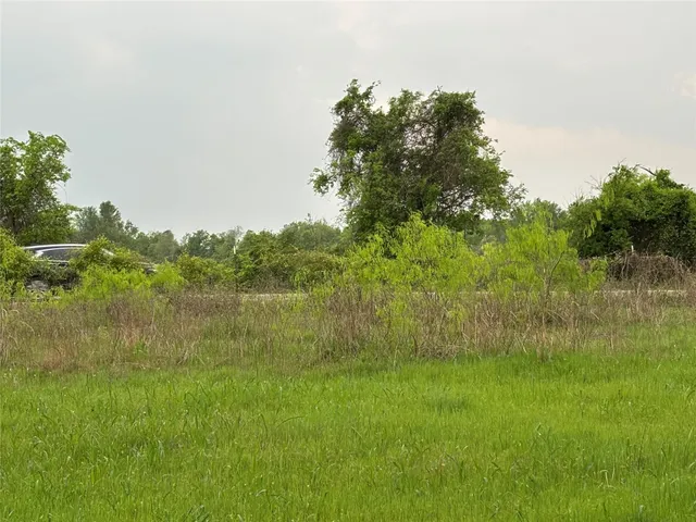a view of backyard door