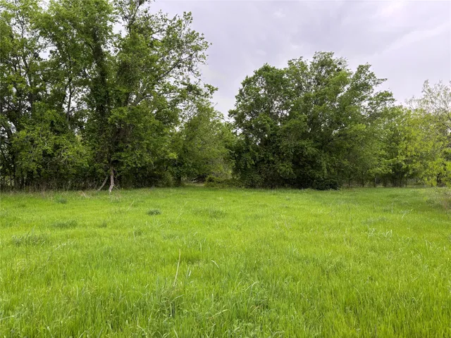 a view of outdoor space with deck and yard