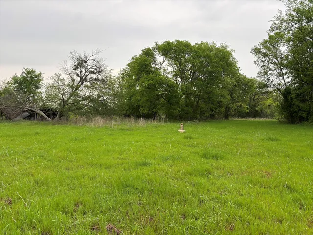 a view of a green yard