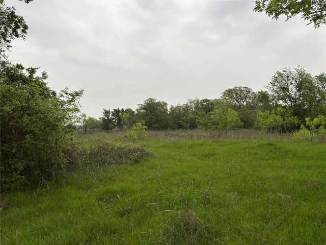 a view of a field of grass and trees