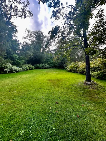 a view of a field with trees in the background