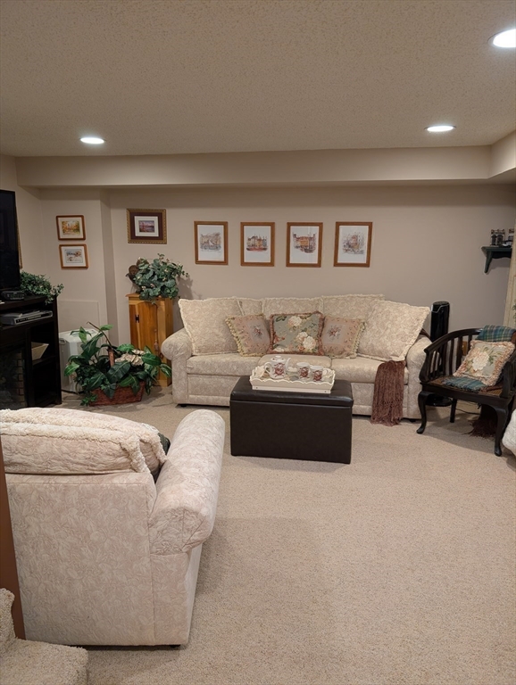 251 Wellman Avenue, Unit 251 Chelmsford, MA 01863 - Photo 33 of 42 a living room with furniture and a potted plant