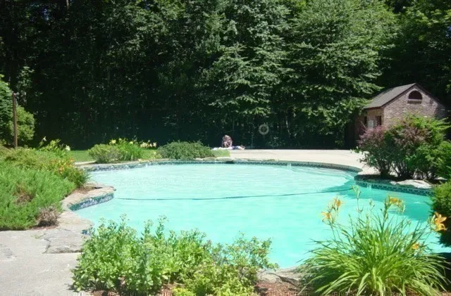 a view of a yard with trees