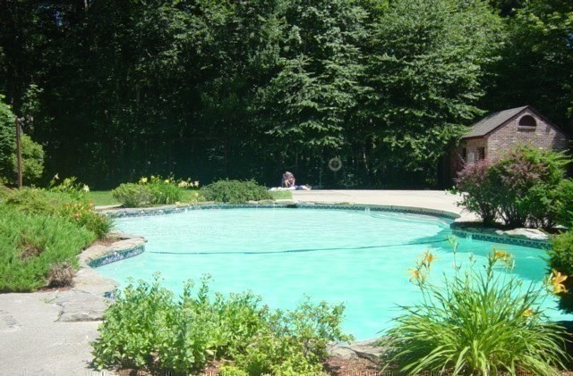 251 Wellman Avenue, Unit 251 Chelmsford, MA 01863 - Photo 40 of 42 a view of green field