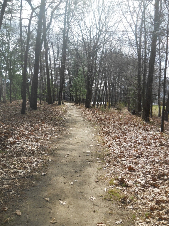 251 Wellman Avenue, Unit 251 Chelmsford, MA 01863 - Photo 41 of 42 a view of a yard with trees