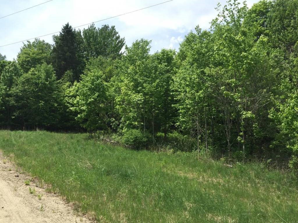 East Darling Hill Road, Unit 8 Lyndonville, VT 05851 - Photo 4 of 12 Gallery Image 4
