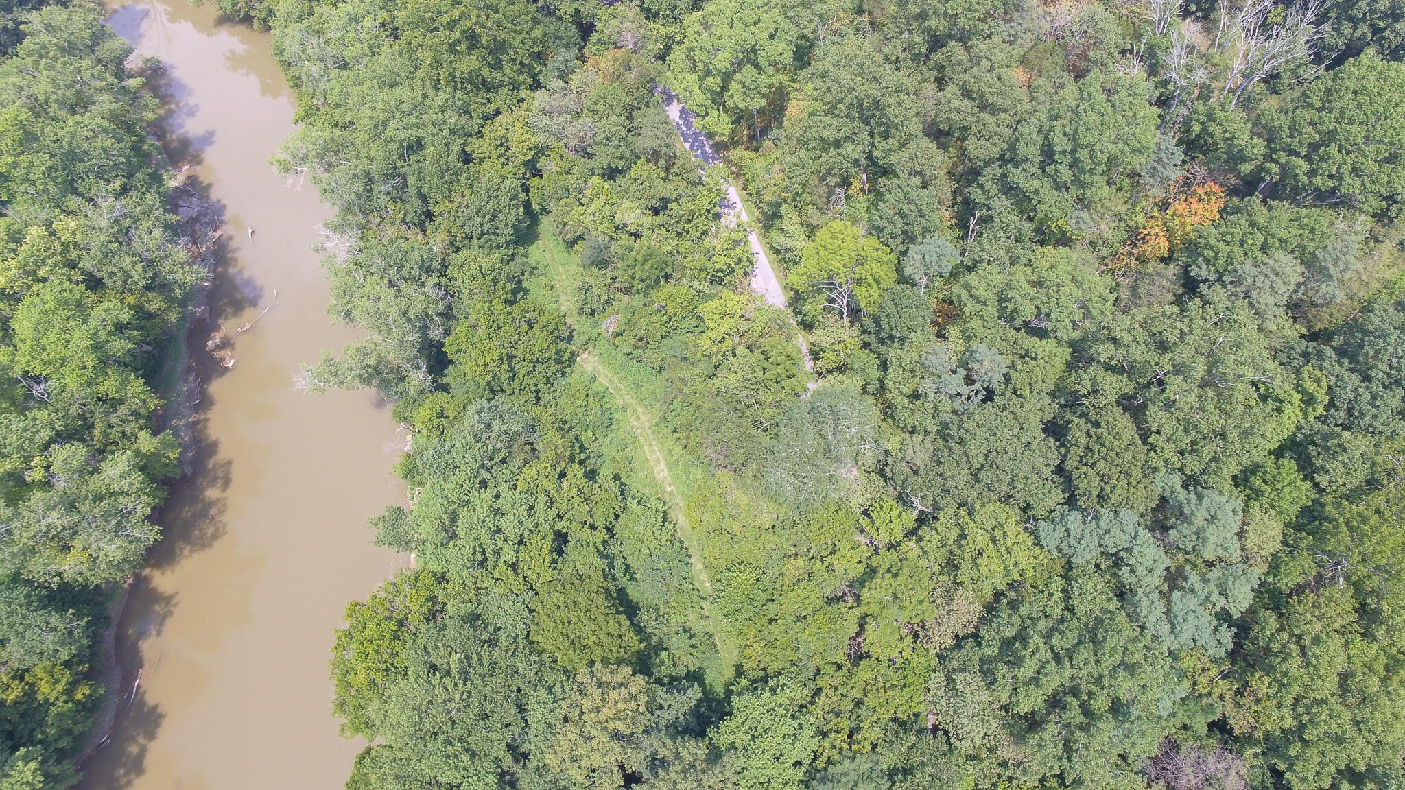 0 Abners Mill Road Ewing, KY 41039 - Photo 5 of 122 4