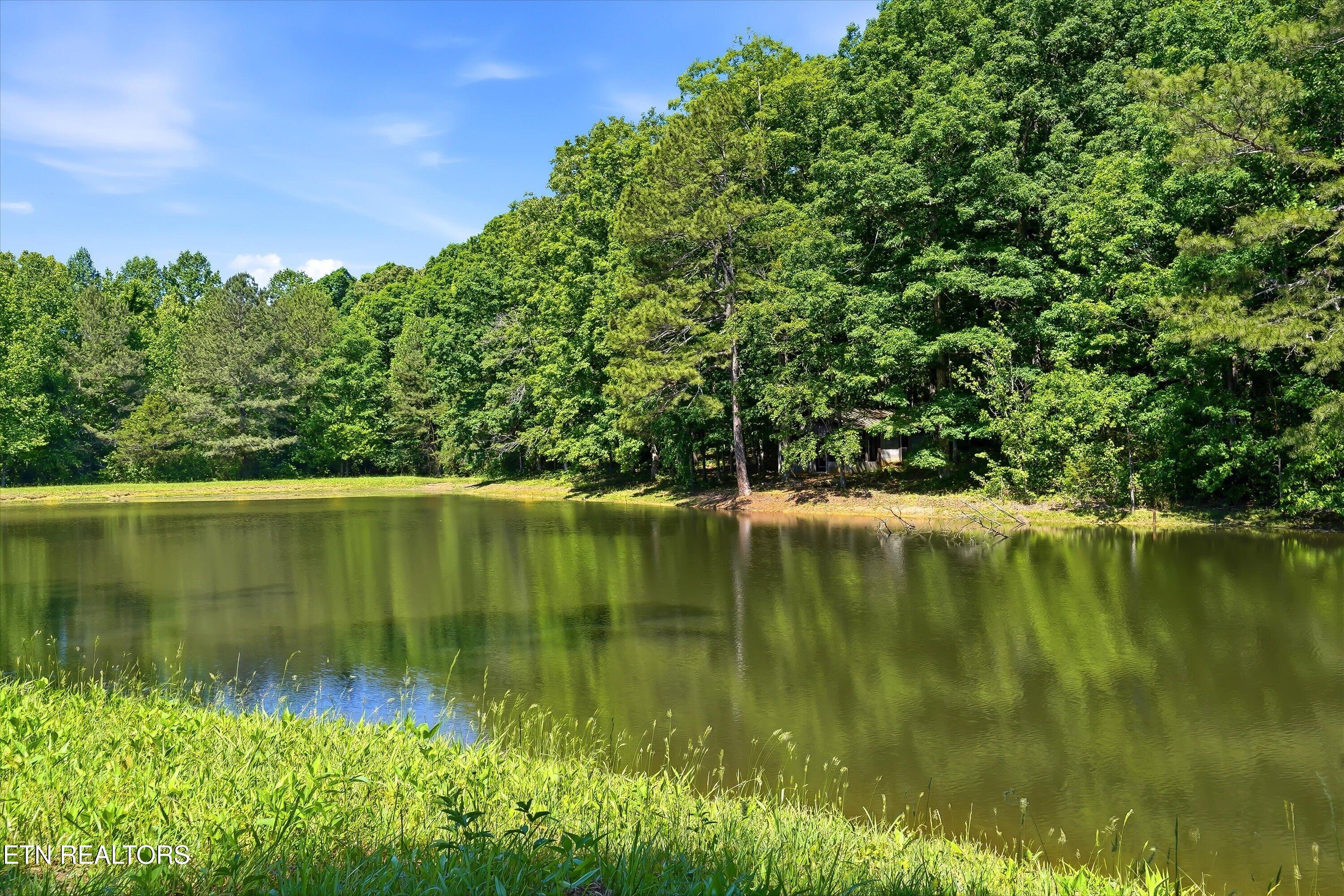 7 Highway 163 Riceville, TN 37370 - Photo 10 of 24 050-2104 TN-163-50