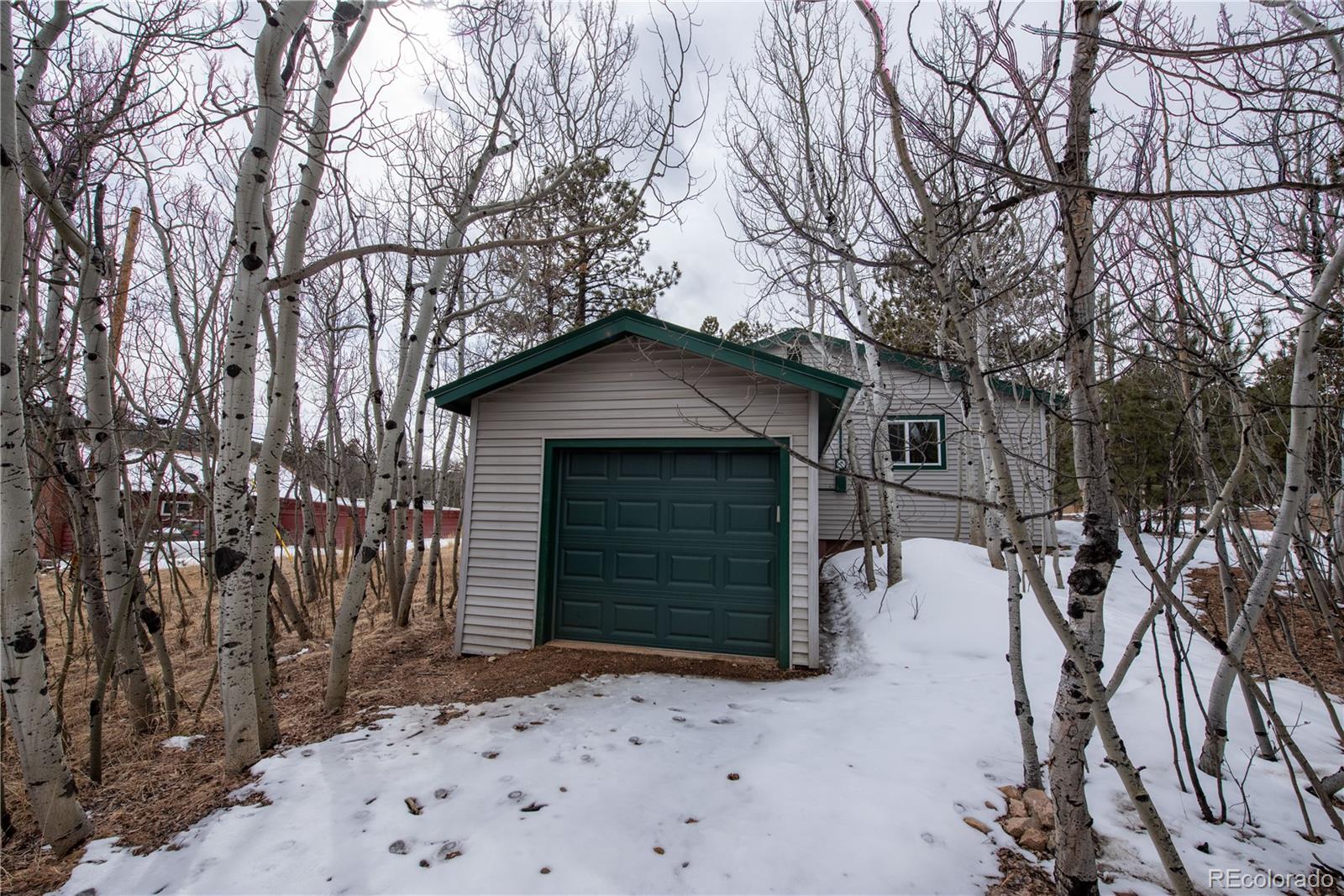 122 Neal Road Bailey, CO 80421 - Photo 18 of 25 a house with trees in front of it