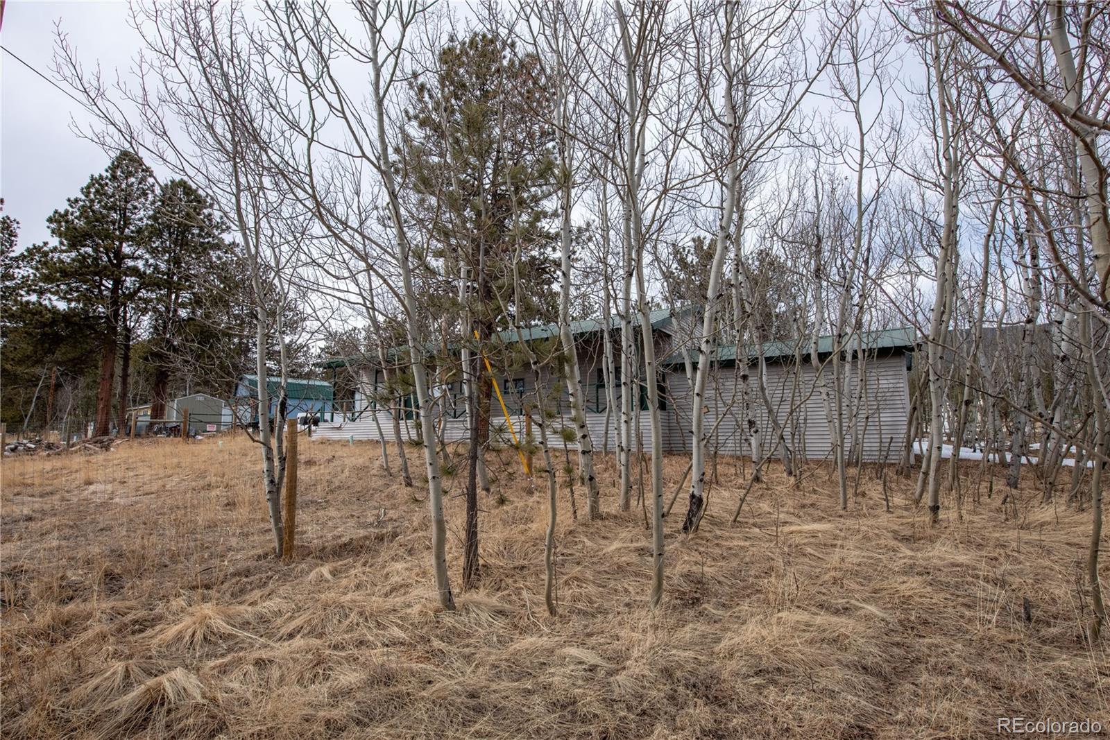 122 Neal Road Bailey, CO 80421 - Photo 20 of 25 a backyard of a house with lots of green space