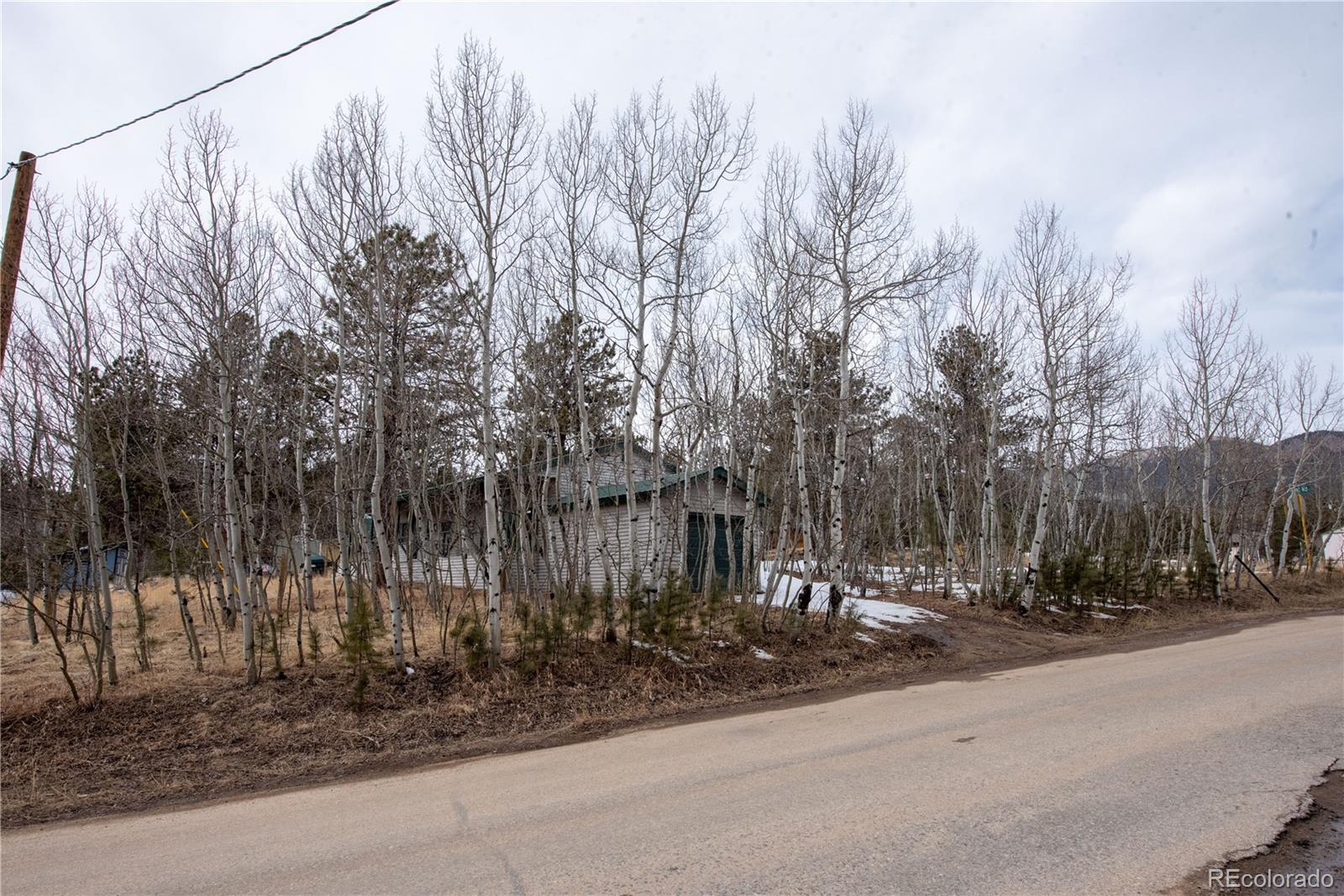 122 Neal Road Bailey, CO 80421 - Photo 21 of 25 a view of a park with large trees