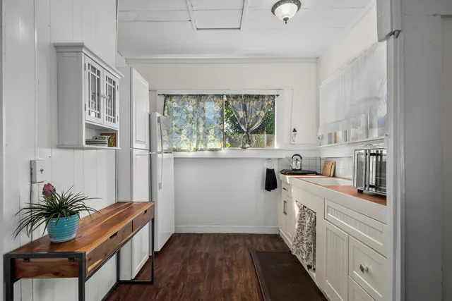 a kitchen with appliances cabinets and a potted plant
