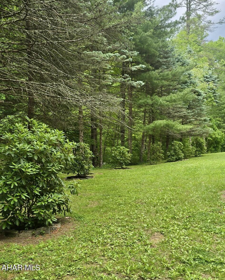 9215 Elliots Run Road Three Springs, PA 17264 - Photo 7 of 30