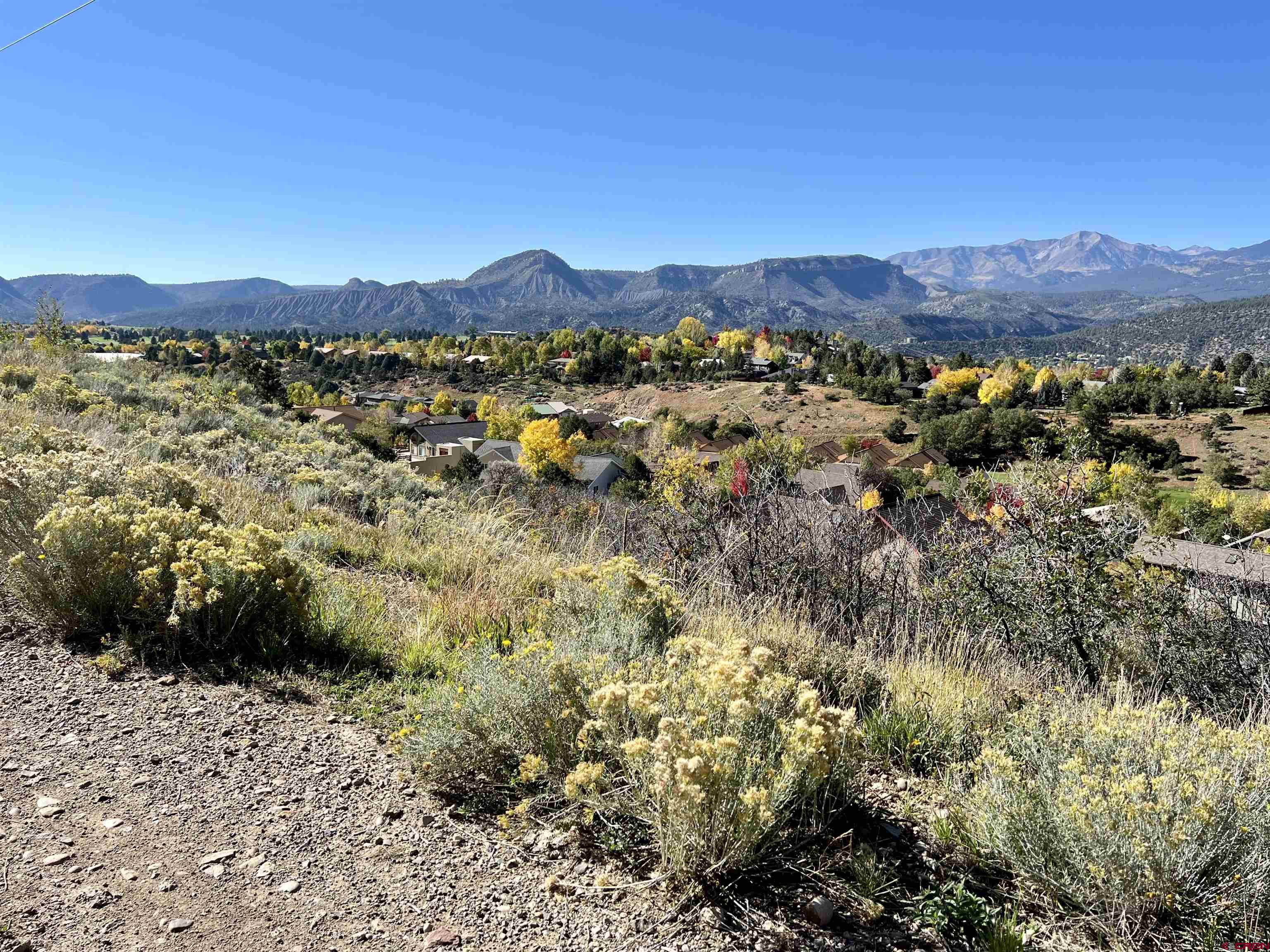 24 Lizard Head Drive Durango, CO 81301 - Photo 17 of 21