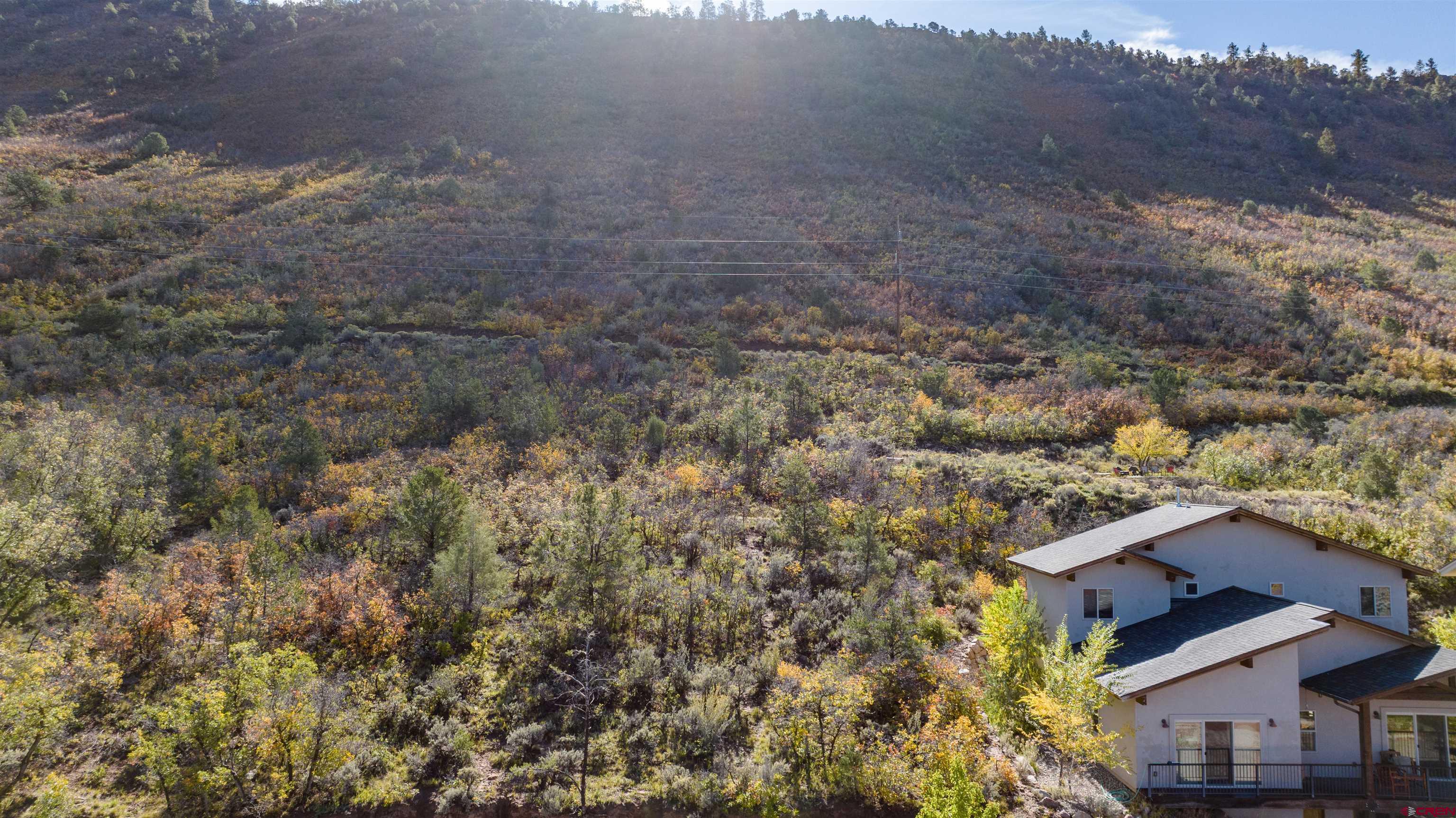 24 Lizard Head Drive Durango, CO 81301 - Photo 4 of 21 a view of a house with a yard