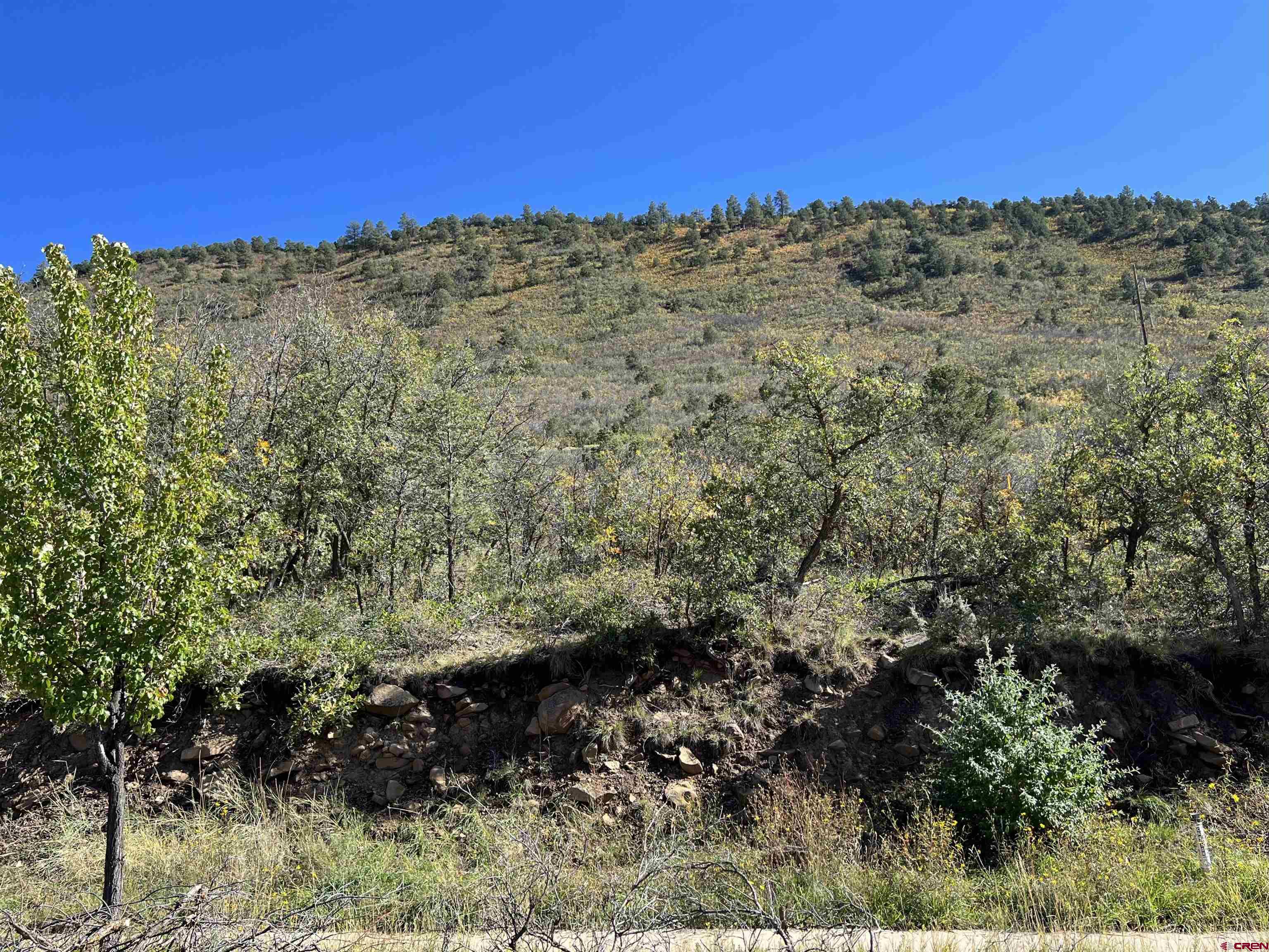 24 Lizard Head Drive Durango, CO 81301 - Photo 5 of 21 a view of a dry yard with trees in the background